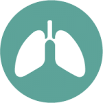 Asbestos Awareness Training