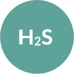 Hydrogen Sulfide Safety