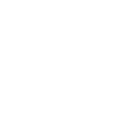cybersecurity password icon
