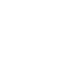 cybersecurity phishing icon